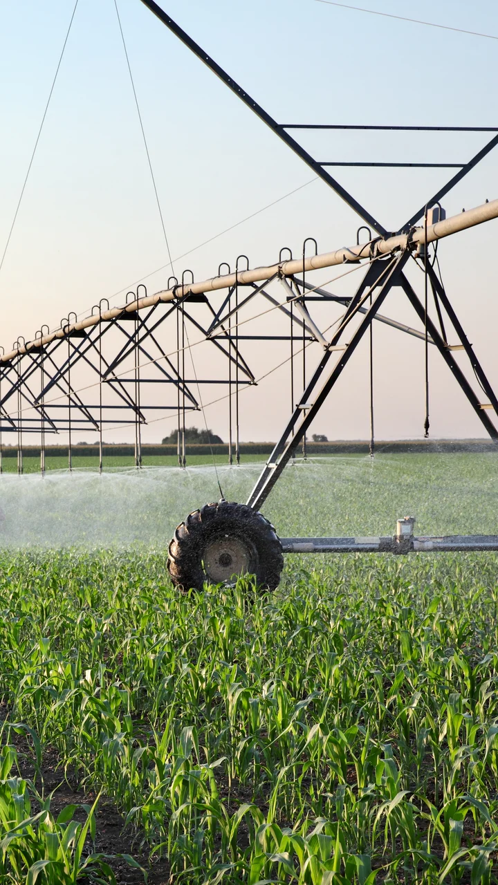 Irrigation System