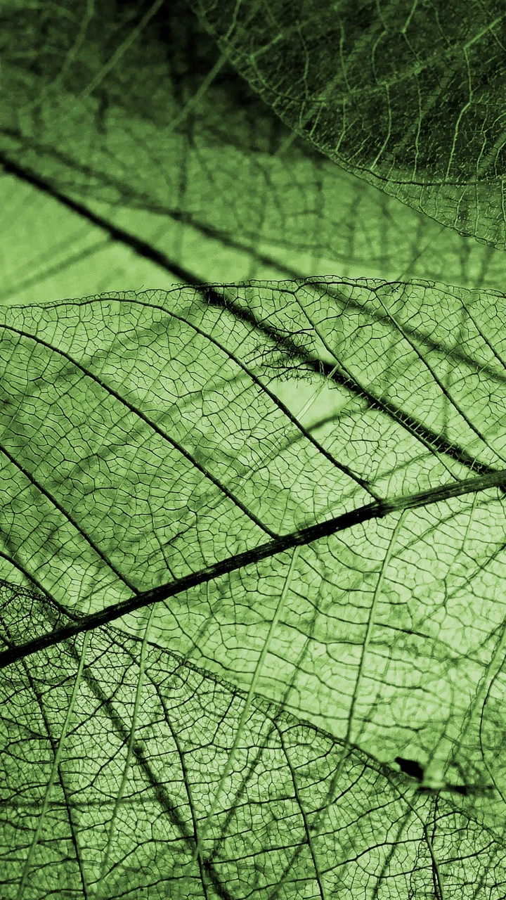 Sustainable Fuels