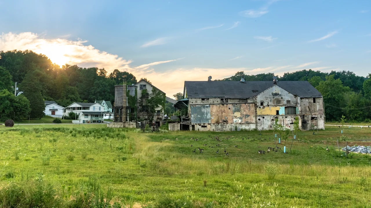 NVF Environmental Remediation Project