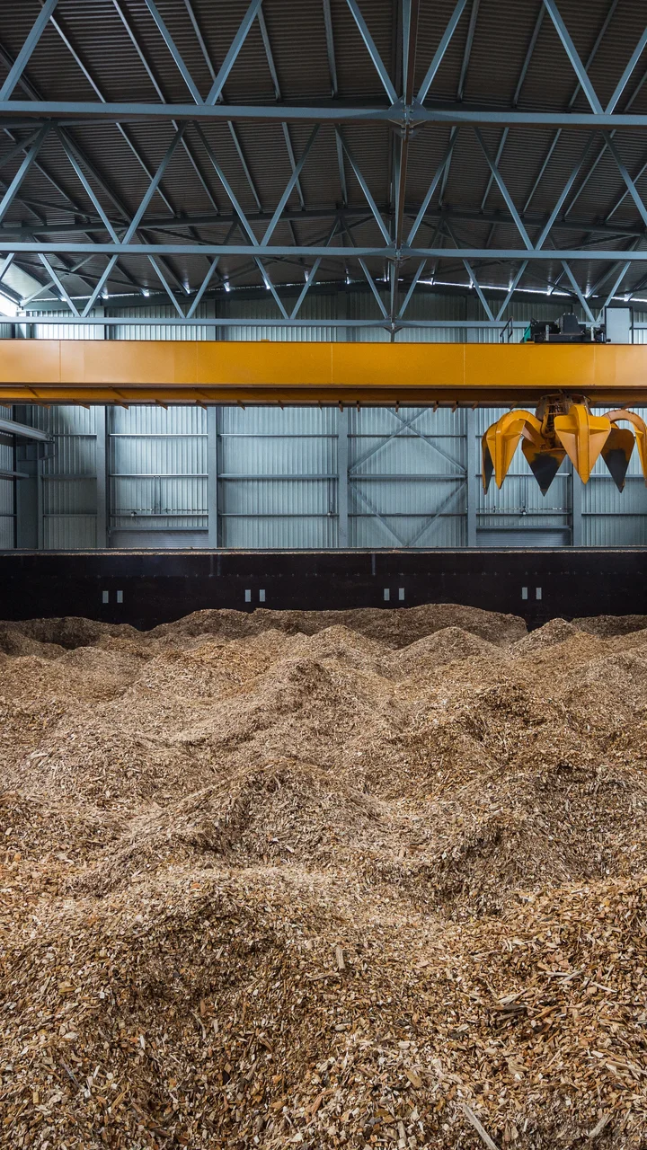 Biomass and Waste-to-Energy Plant Design Fundamentals