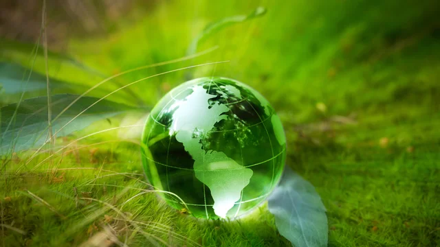 Moving from Sustainability Talk to Action: Avoiding Greenwashing