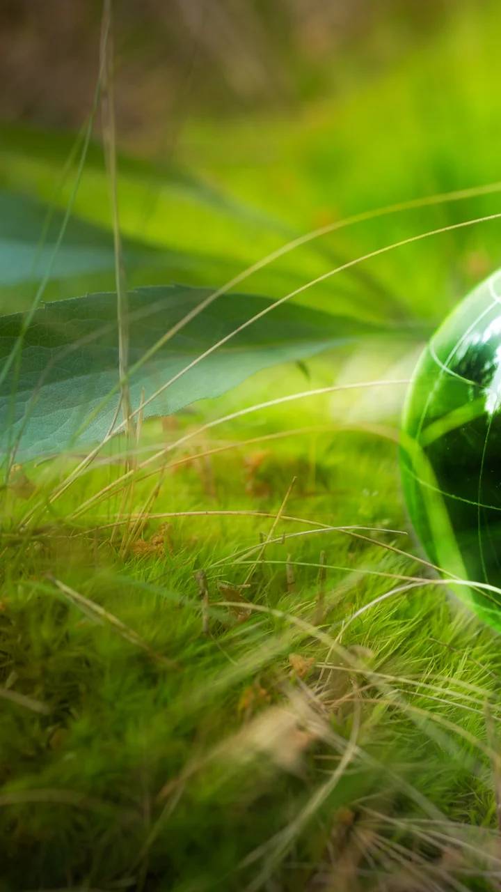 Green world
