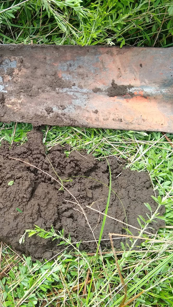 Soil Sampling