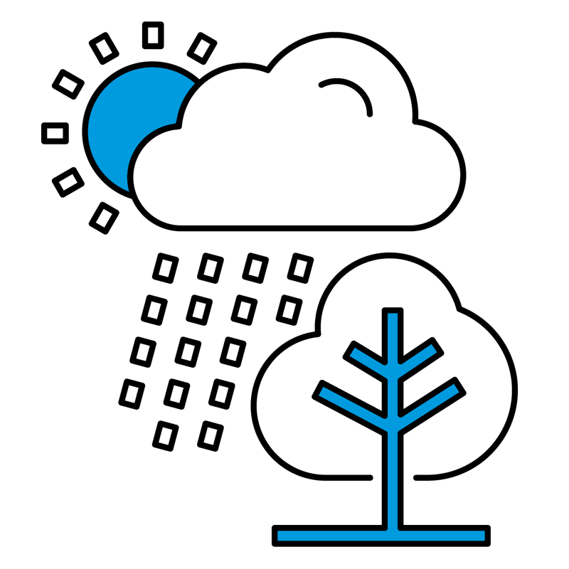 Ecosystem Icon