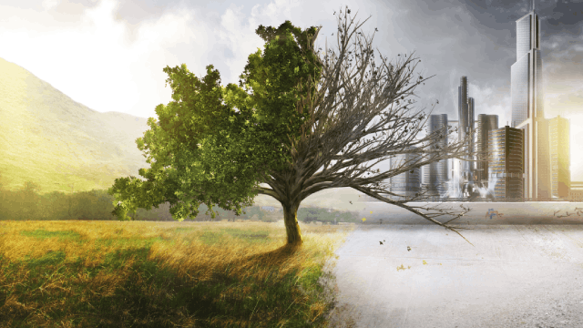 Build Business Resilience with Climate-Adaptive Infrastructure