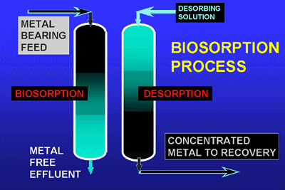 process schematics